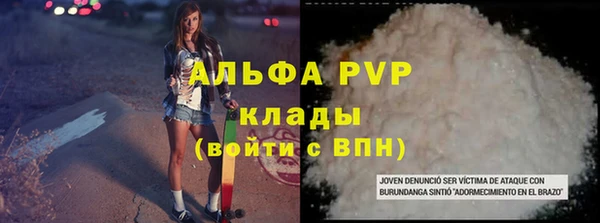 бошки Ладушкин