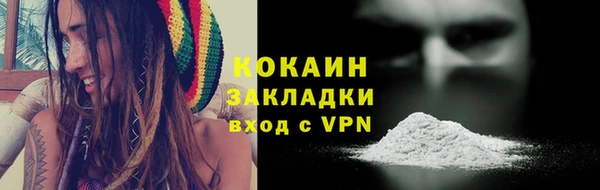 бошки Ладушкин