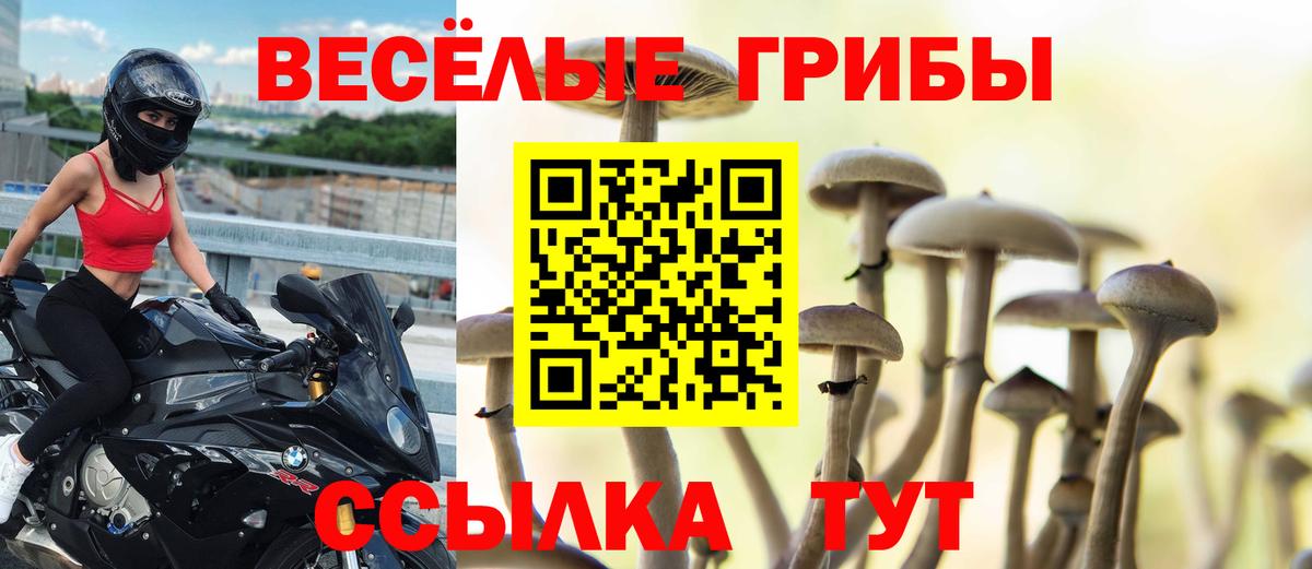 Псилоцибиновые грибы мухоморы Самара