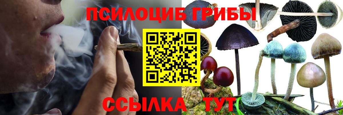 Самара  Псилоцибиновые грибы Magic Shrooms  Вход с VPN 